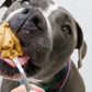 Crema de Cacahuate Natural para Perro Pouch 60g.