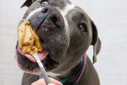 Crema de Cacahuate con Miel para Perro Pouch 60g.